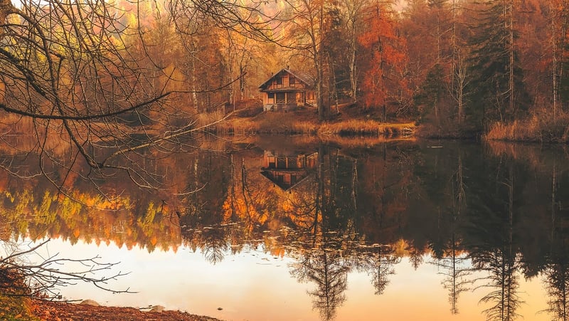 Rustic Mountain Cabin